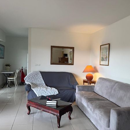 Spacious Luxury Apt, 12 Min Walk To Croisette Beach And Conf Centre Cannes Luaran gambar