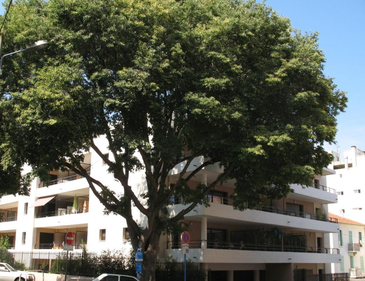 Spacious Luxury Apt, 12 Min Walk To Croisette Beach And Conf Centre Cannes Luaran gambar